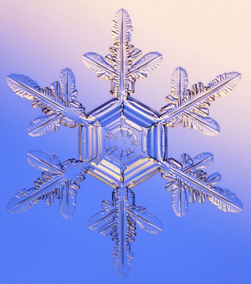 snowflake1.jpg